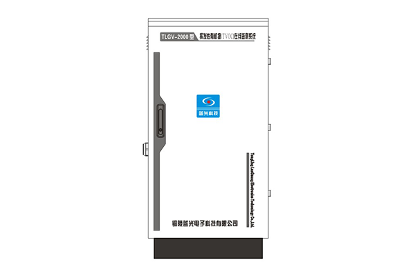 TLGV-2000型揮發(fā)性有機(jī)物（TVOC）在線(xiàn)監(jiān)測(cè)系統(tǒng)